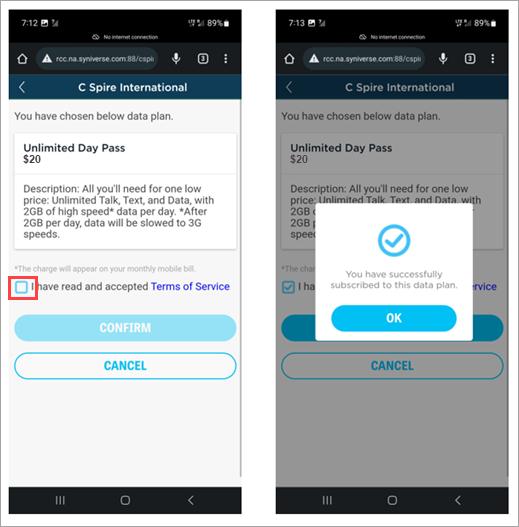 Accept the Terms of Service and confirm your Day Pass purchase.