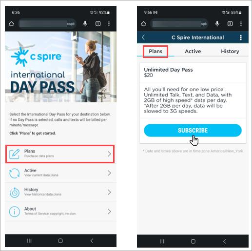 Purchase an International Day Pass by clicking the link in your text message.